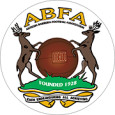 Antigua Barbuda Premier Division logo