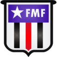 Brazilian Campeonato Mineiro Division 1 logo