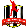 Brazilian Youth Cup logo