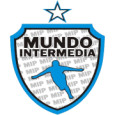 Paraguayan Division Intermedia logo