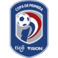 Paraguayan Primera Division logo