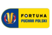 Polish Cup logo