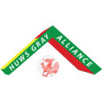 Walsh Cymru Alliance logo
