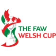 Welsh Cup logo