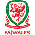 Welsh Football League First Division logo