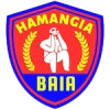ACS Hamangia Baia logo
