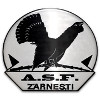 ACS Olimpic Zarnesti logo