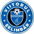 ACS Viitorul Selimbar logo