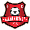 AFC Hermannstadt (W) logo