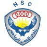 Al Nasr Cairo logo