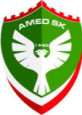 Amedspor logo