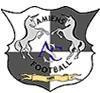 Amiens U19 logo