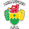 Ammanford logo