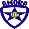 Amora FC U19 logo