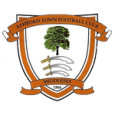 Ashford Town logo