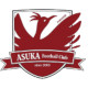 Asuka logo