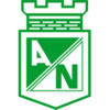 Atletico Nacional Medellin (w) logo