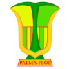 Atletico Palmaflor Vinto Reserves logo