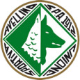 Avellino U19 logo