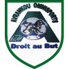Avrankou Omnisport FC logo