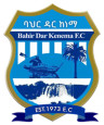 Bahir Dar Kenema FC logo