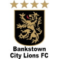 Bankstown City Lions U20 logo