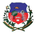 Baraunas-RN logo