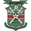 BDF XI logo