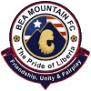 BEA Mountain FC logo