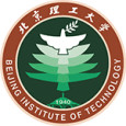Beijing IT logo