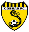 Bentleigh Utd Cobras logo
