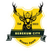 Berekum City logo