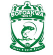 Bofoakwa Tano logo