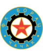 Borac Cacak logo