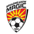 Broadmeadow Magic (w) logo