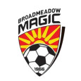 Broadmeadow Magic logo