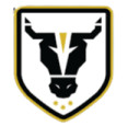 Bulls Academy U20 logo