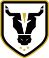 Bulls Academy (W) logo