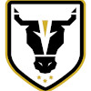 Bulls Academy logo