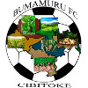 Bumamuru logo