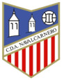 CD Artistico Navalcarnero logo