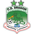 CD Dragon logo