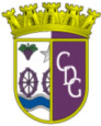 CD Gouveia U19 logo