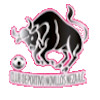CD Novillos Neza logo