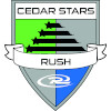 Cedar star logo