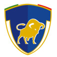 Celaya II logo