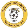 Cessnock City Hornets logo