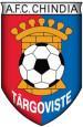 CF Chindia Targoviste U19 logo