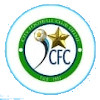 City FC (w) logo