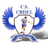 Crisul Chisineu Cris logo